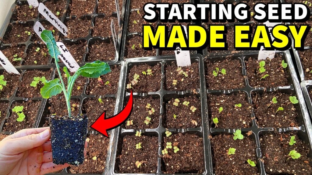 5 Things Every First-Time Gardener Should Know Before Starting from Seed 5 Things Every First-Time Gardener Should Know Before Starting from Seed